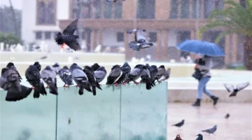 تقلبات جوية وأمطار مرتقبة في المغرب تزامنا مع أيام عيد الفطر